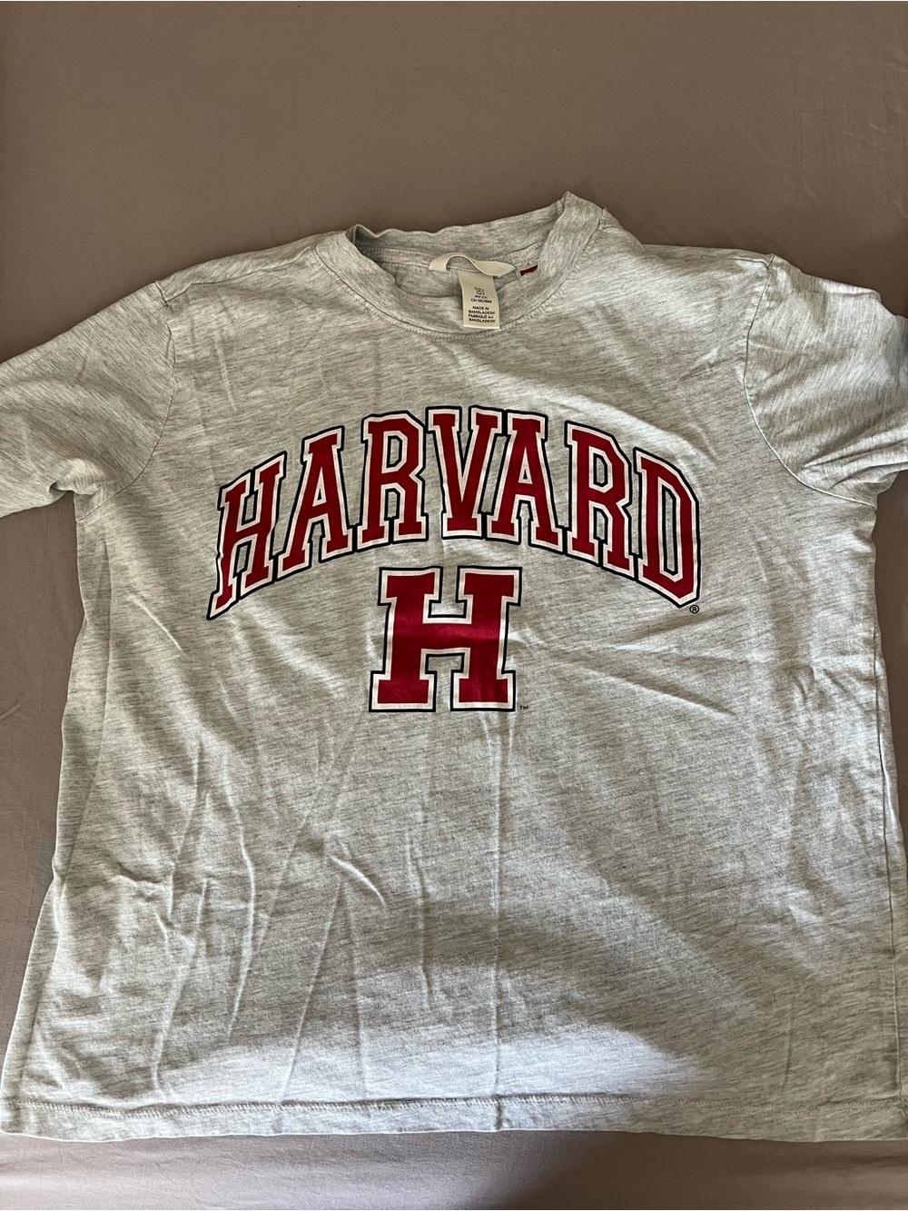 H&M Light Gray Tee with Red and Black Graphic